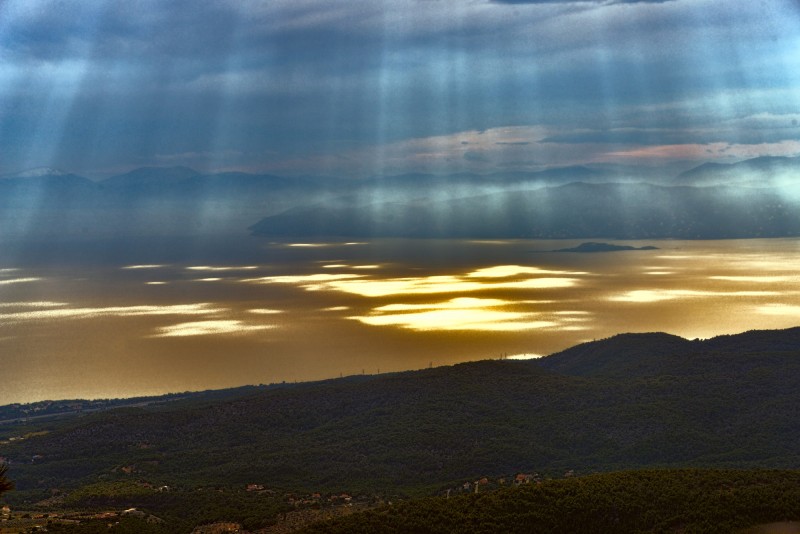 DSC_4264_1.jpg