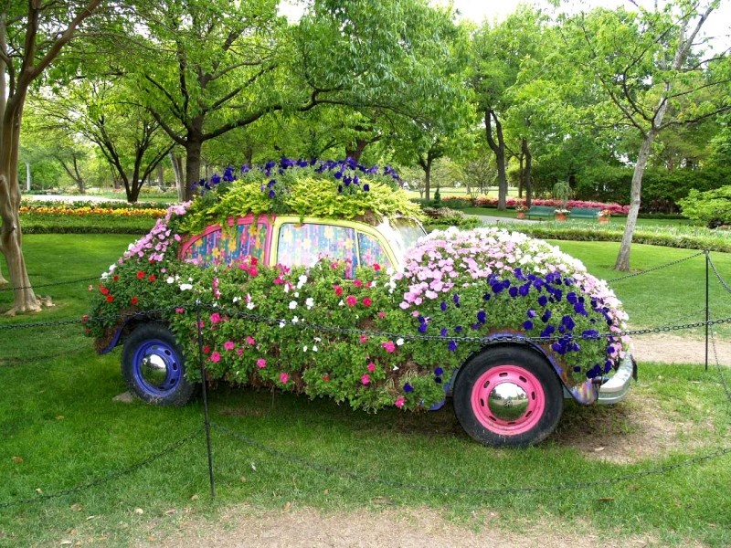 flowers-cars_00381235.jpg