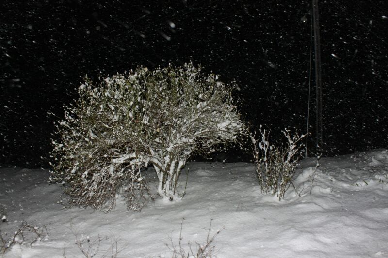 IMG_2015011244732.jpg