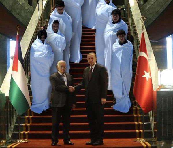 sow kefen.jpg
