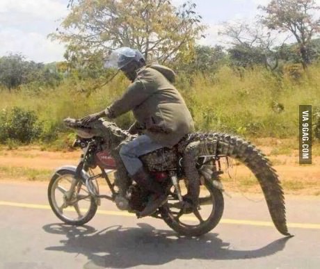 motocrocc.jpg