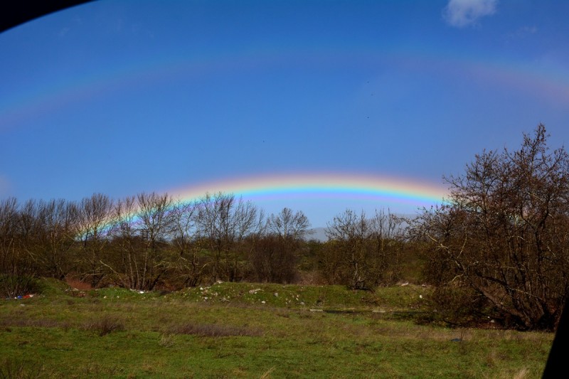 DSC_6983.JPG