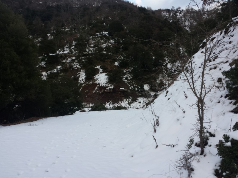 IMG_20150214_182709.jpg