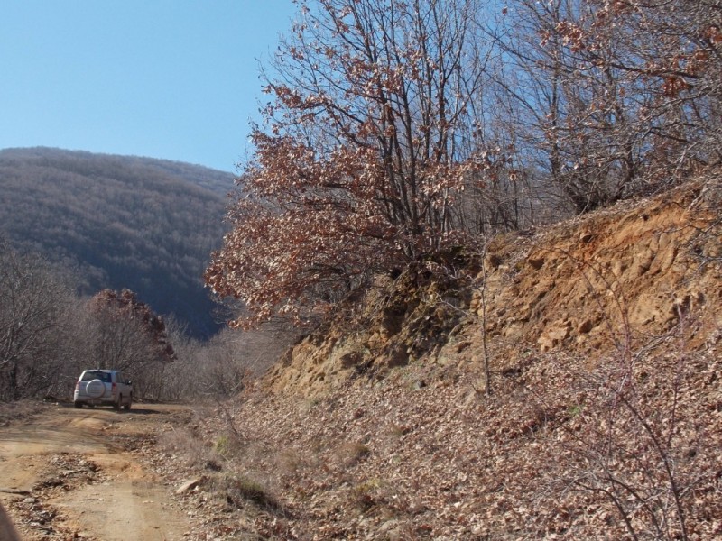 Εικόνα 001.jpg