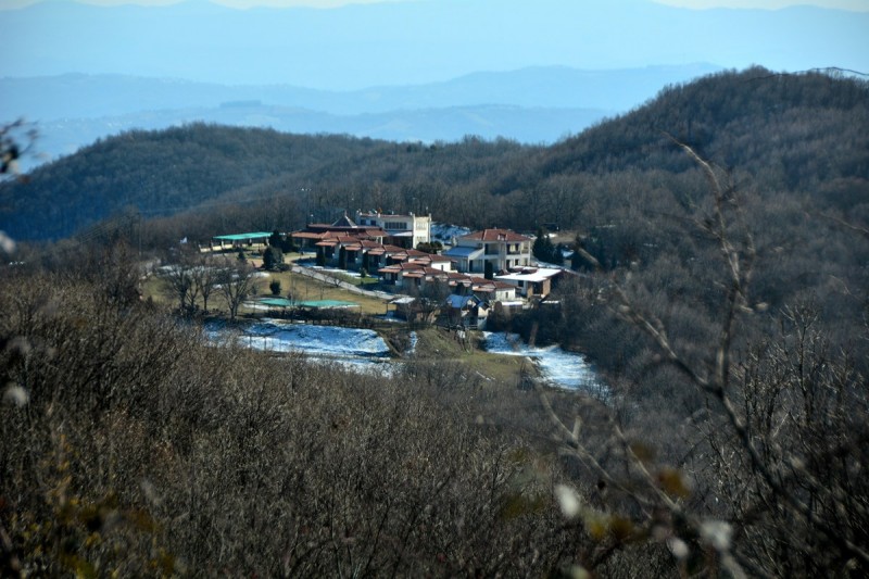 DSC_7183.JPG