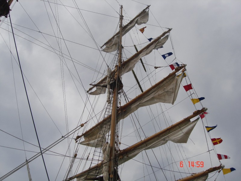 DSC07278.JPG