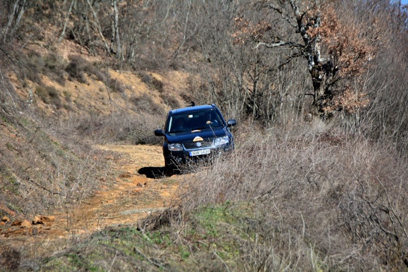 DSC_7139.JPG