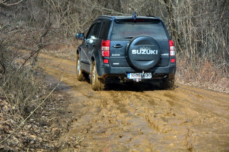 DSC_7273.JPG