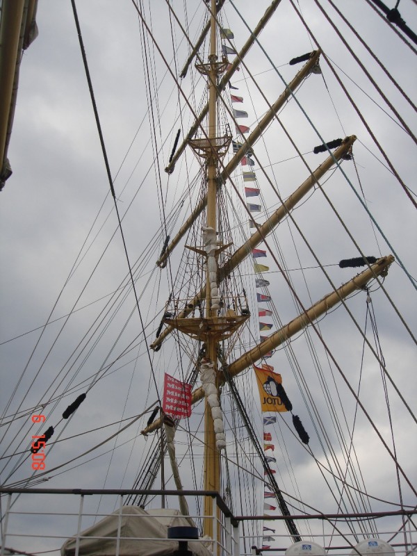 DSC07308.JPG
