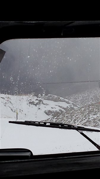20150225_112423 (337 x 600).jpg