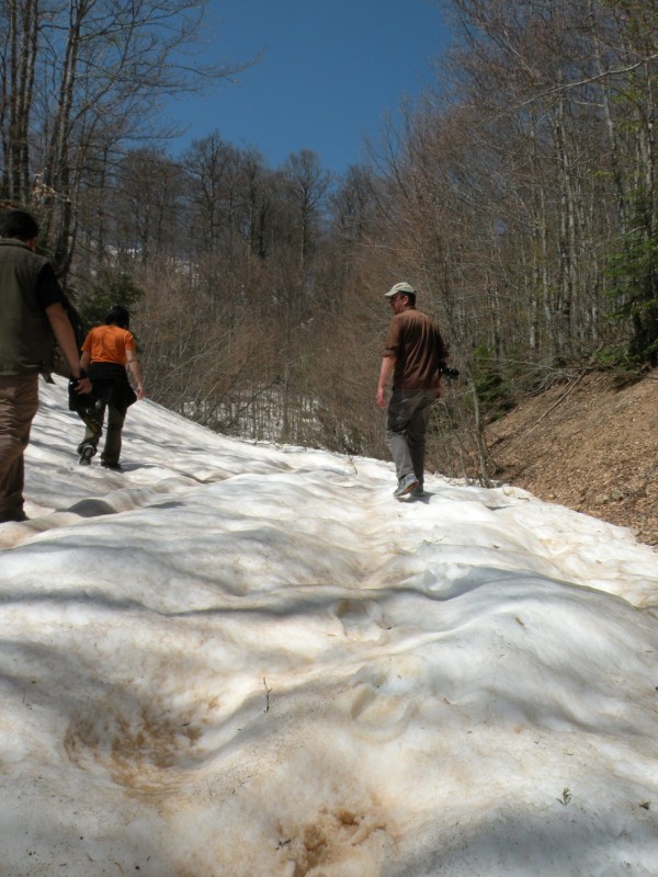 DSCN2849.jpg