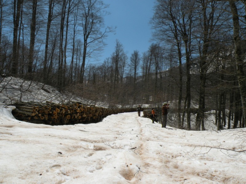 DSCN2861.jpg