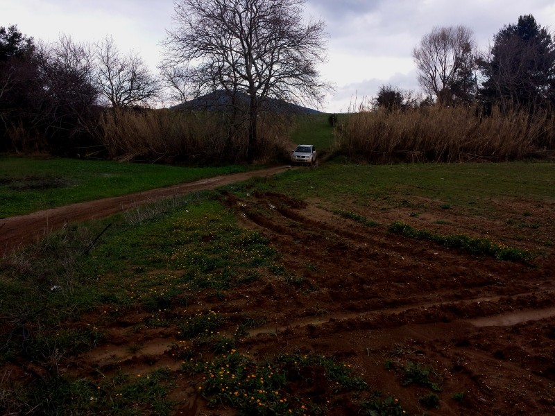 20150301_114345 (Αντιγραφή).jpg
