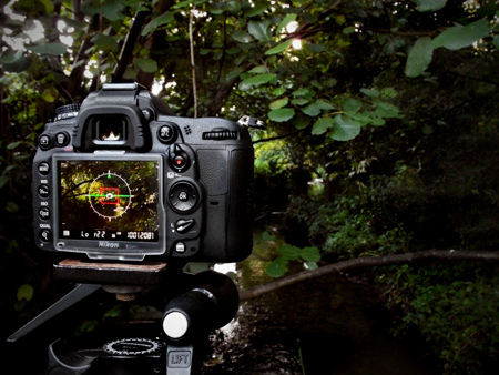 Nikon_D7000_in_the_wild.jpg