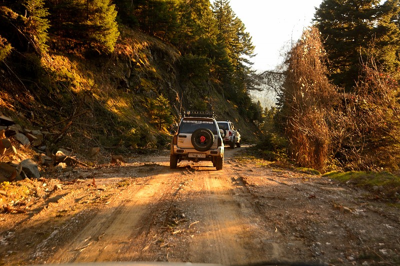 DSC_1396.JPG
