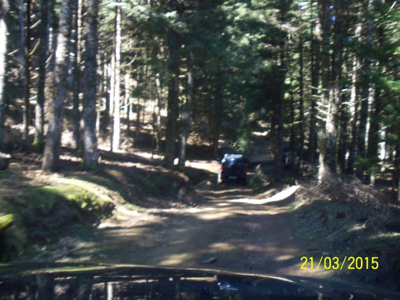 100_5617.JPG