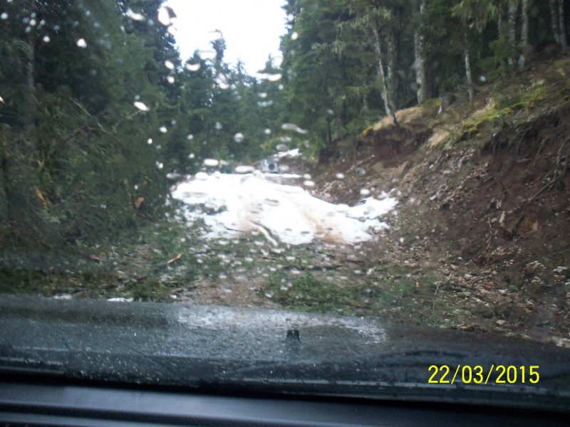 100_5623.JPG