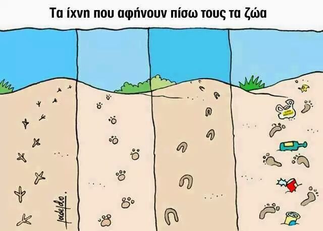 15 - 1.jpg