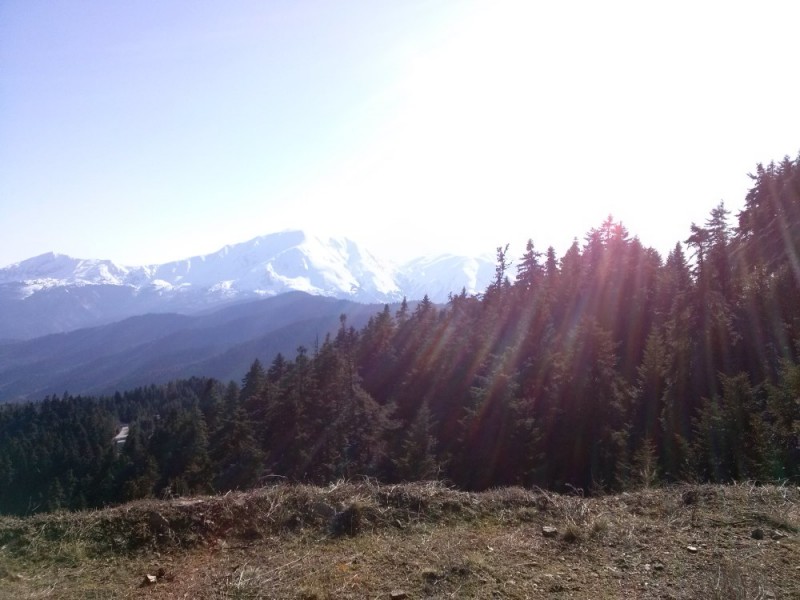 CAM00158.jpg