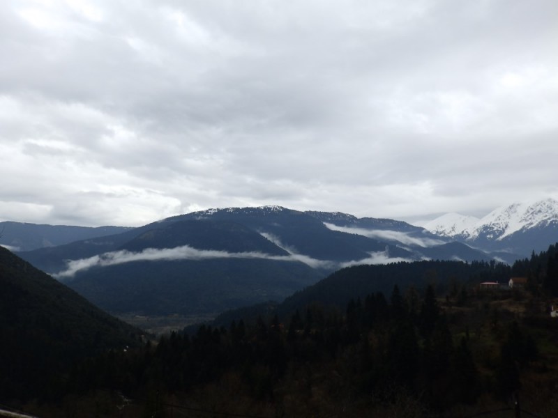 P3224150.jpg