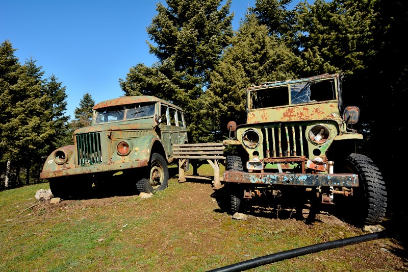 DSC_0810.JPG