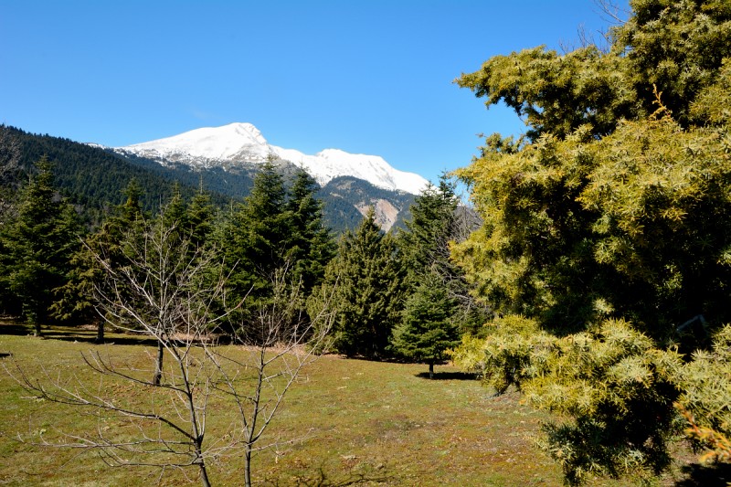 DSC_0814.JPG