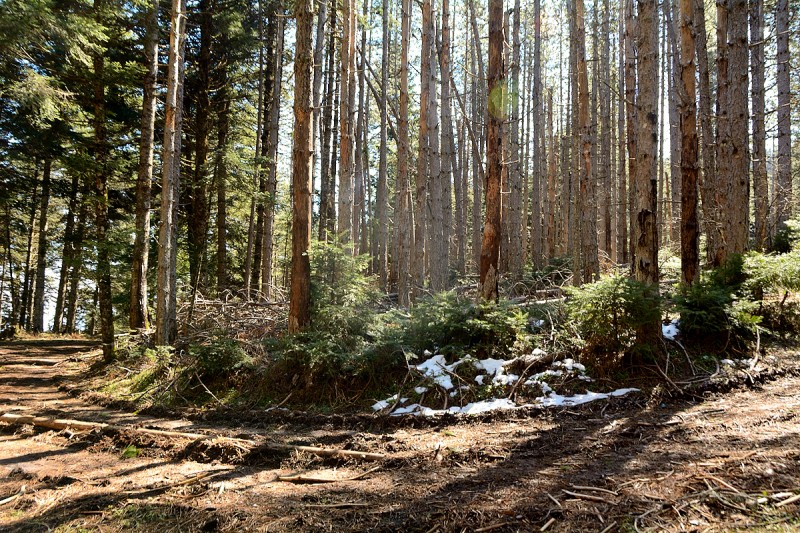 DSC_0873.JPG