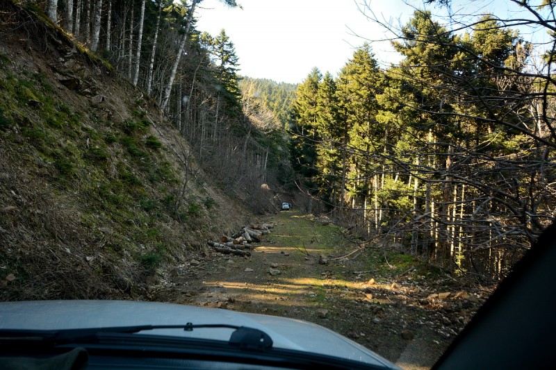 DSC_1046.JPG