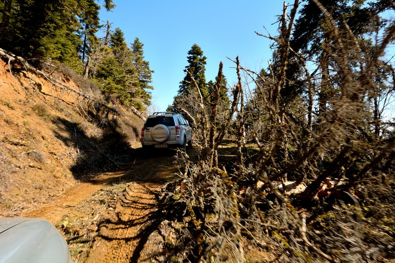 DSC_1063.JPG