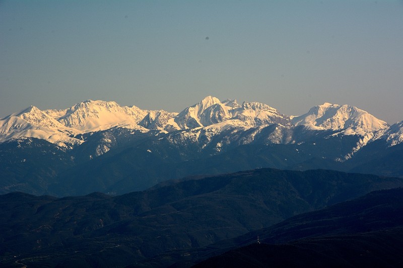 DSC_1232.JPG
