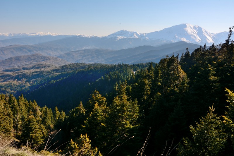 DSC_1240.JPG