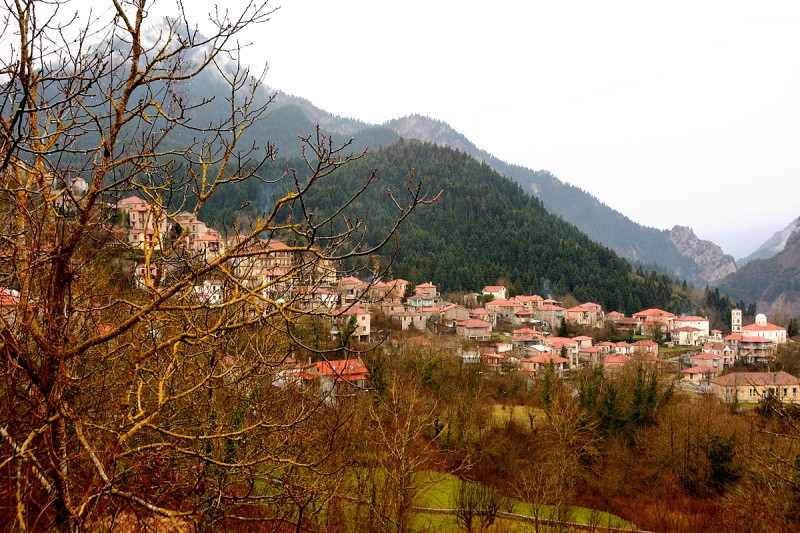 DSC_1794.JPG