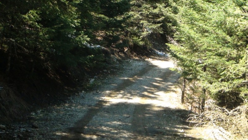 DSC00616.jpg
