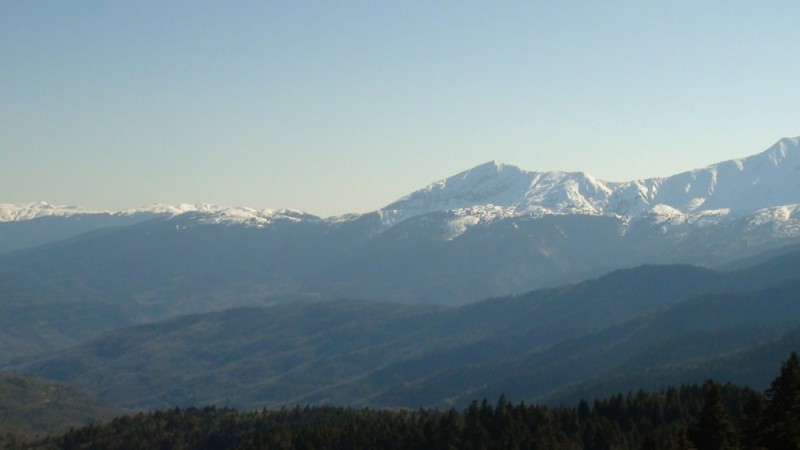 DSC00642.jpg