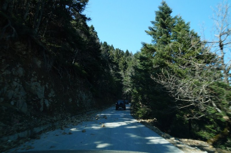 DSC03047.jpg