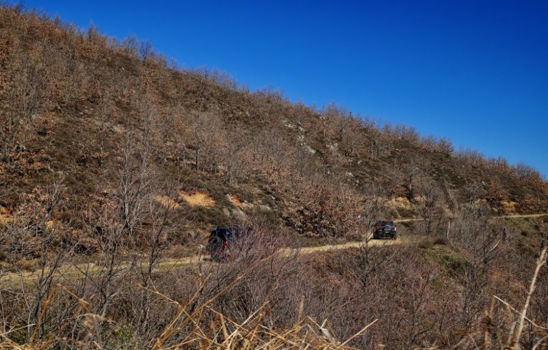 DSC03104.jpg
