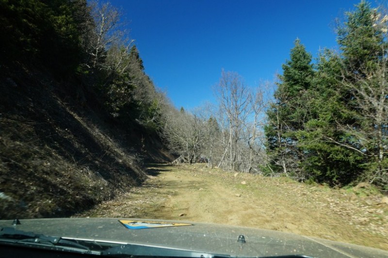 DSC03125.jpg