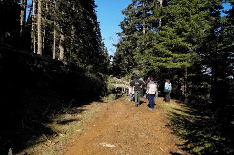DSC03254.jpg