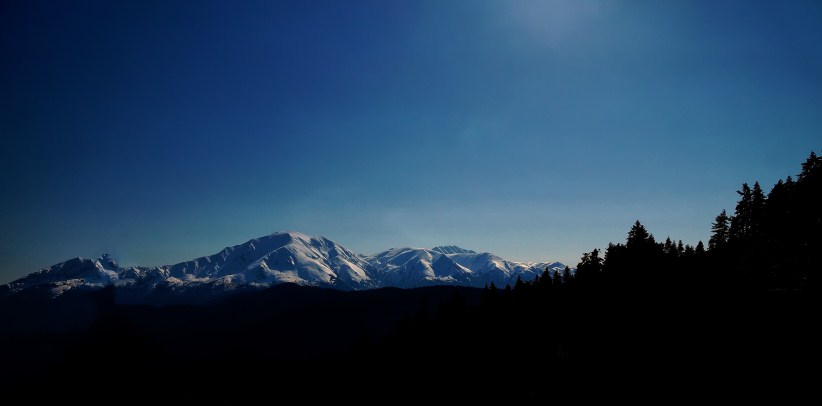 DSC03257.jpg