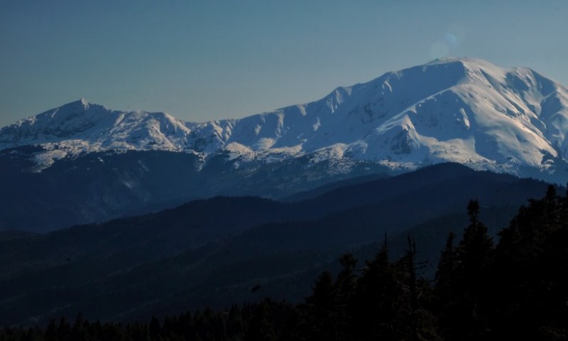 DSC03276.jpg