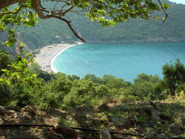 103 KOTILIA EVIA 10-6-2010 061.jpg