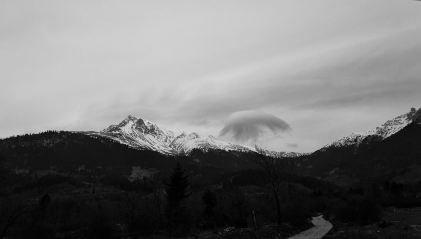DSC03438.jpg