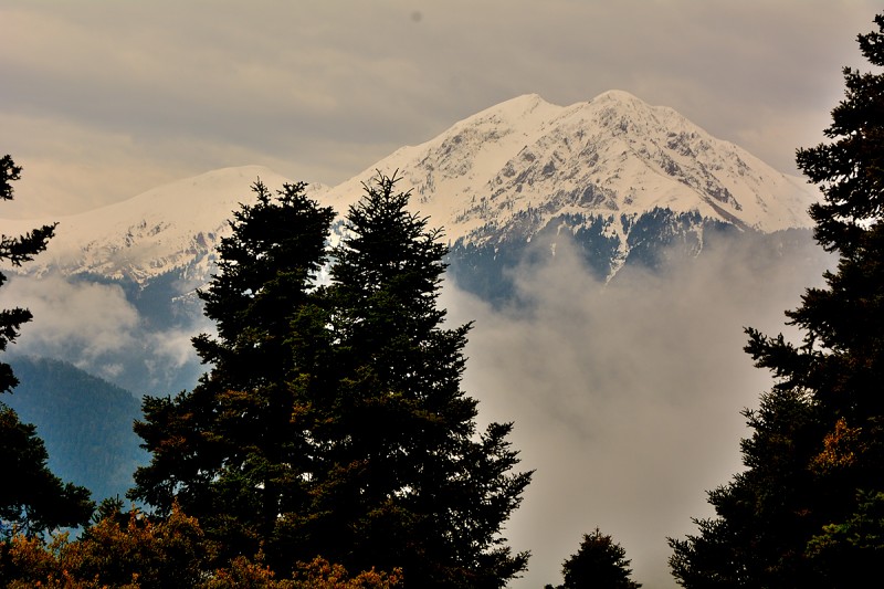 DSC_1830.JPG