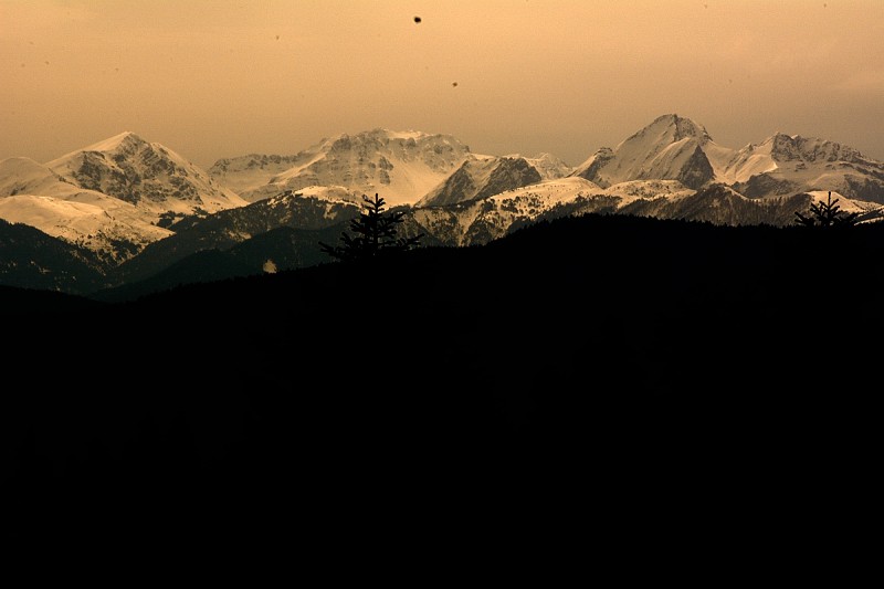 DSC_1576.JPG