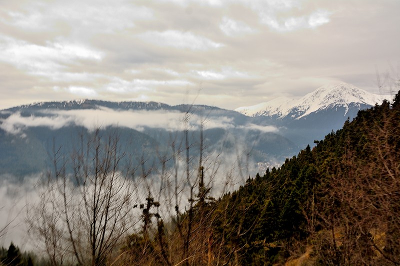 DSC_1851.JPG