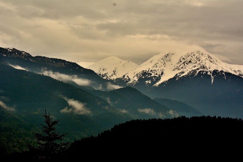 DSC_1892.JPG