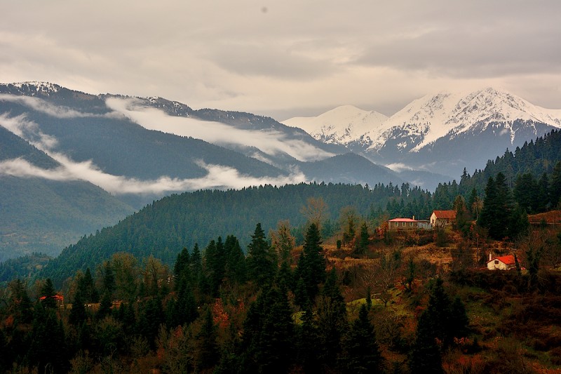 DSC_1903.JPG