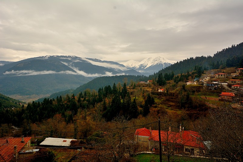 DSC_1905.JPG