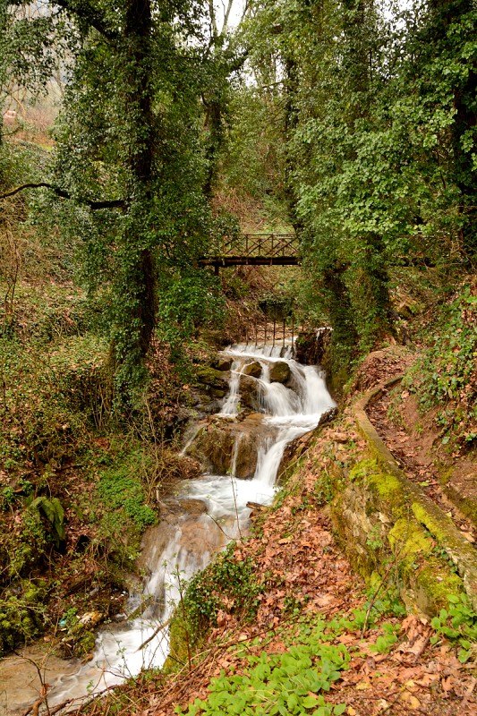 DSC_1805.JPG