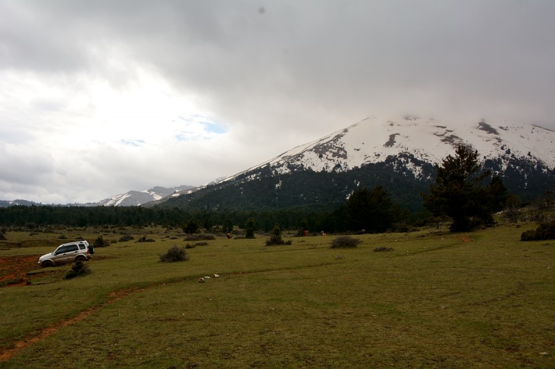 DSC_2180.JPG